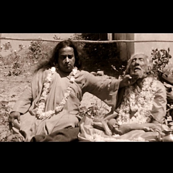 Meet your Posher, Oshen π¦π¬π§ - Picture 16 of 16